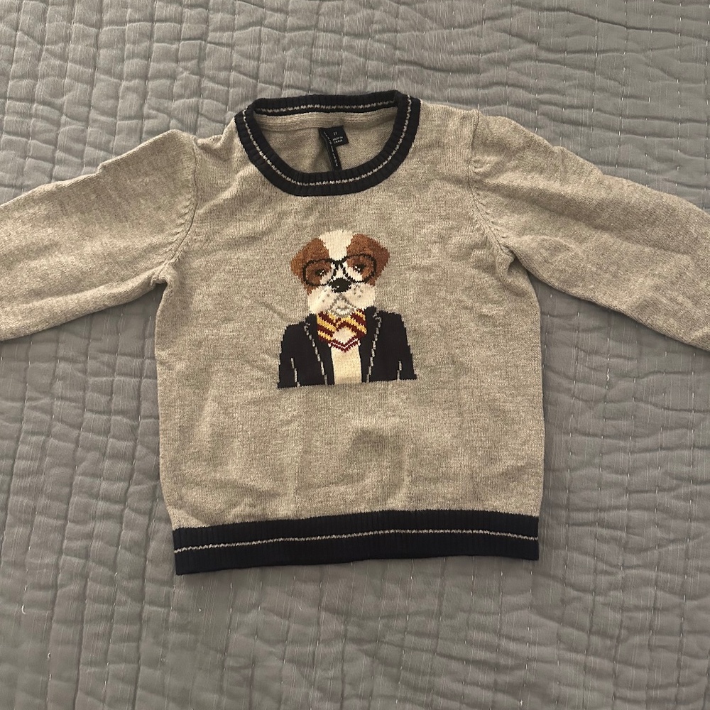 Toddler Boys Sweatee